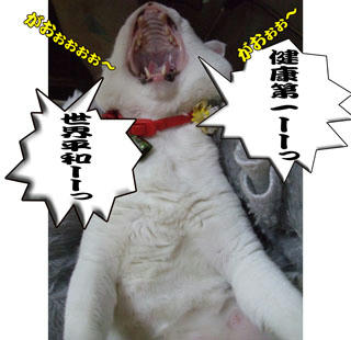 確かにそうだｯ!