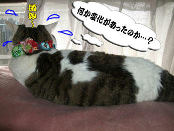 変化に気付いてないんかいーーーｯ!
