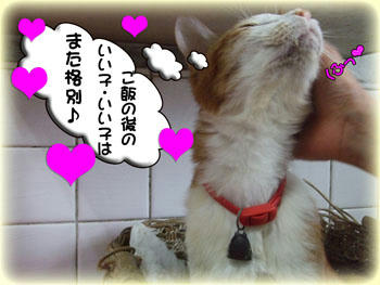 そっか～…(＞▽＜；； ｱｾｱｾ