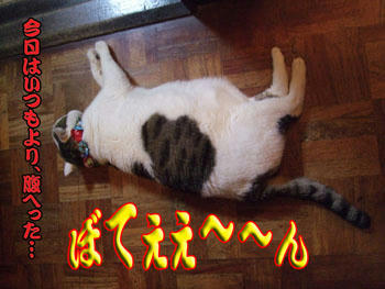 かな～り、お疲れ？（笑）