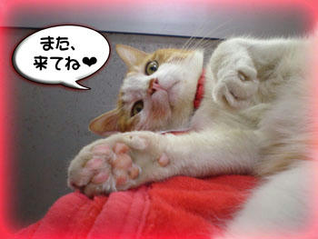 「かもん、べいび❤」のポーズ♪