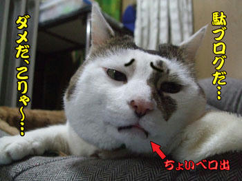 じどまでもそんな事を、ﾖﾖﾖ…