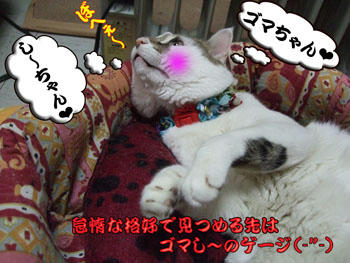 もう少しシャキっとしなさいよ（怒）
