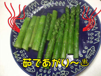 (ノ´▽`)ノオオオオッ♪ウマそうでないのッ♪