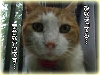 食欲にみなぎらなくてもじどはいいのにね♪