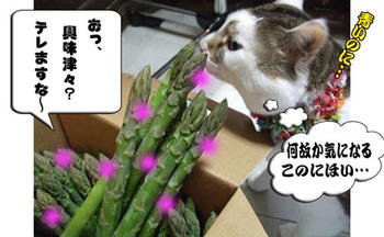 出たっ！じどのひつこいくんか・くんか(＠_＠;)