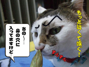 近すぎるって(￣￣*) 