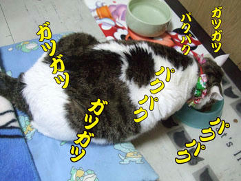 ヤケにガッツリいってるね~´(´(●●)` )
