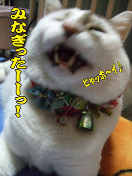 喰い気のみなぎりはもう十分じゃないの?((ミ ̄エ ̄ミ))