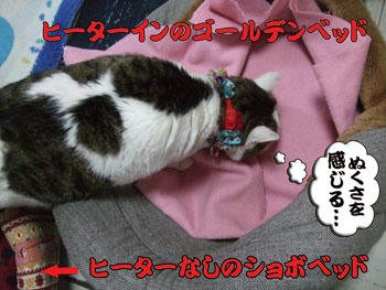 やっぱ、それか~