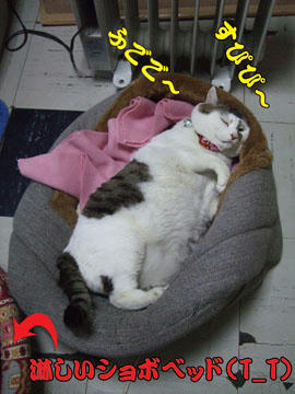 真冬並みの体制…(||´д｀)o=3