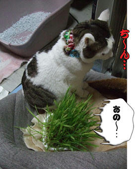 そこまでうな垂れなくても…（汗）