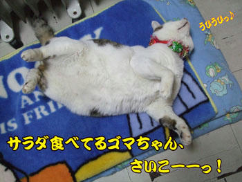 何だかなぁ~…( ̄Д ̄;;