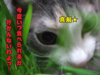 わわわーーっ、そんなことを・・・(^▽^;)