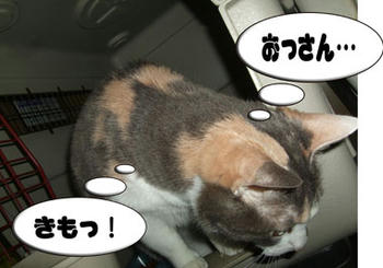 ギャルの言葉は手厳しい…(泣)