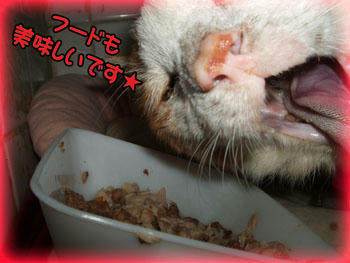 すごいお顔だね~(>▽<;;