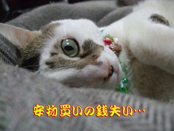 その冷たい目付きは止めなさい。