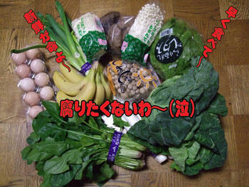 食べますよ、食べますよ(泣)