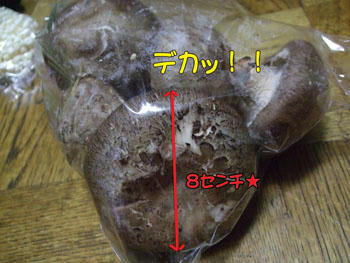 肉厚よ~ん♪