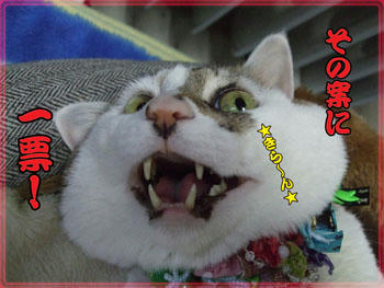 またしても邪悪な笑み…(´Д`|||)