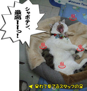 思わず呆れちゃったわ~ww