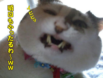 鼻は止めろ～