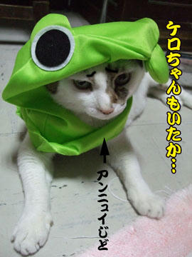 似合ってるわよ~.。゚+.(゚ー゚)。+.゚ イイ!!