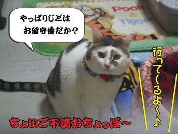 当たりマエダのクラッカー～♪