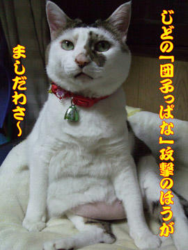それより、その腹をなんとかしなさい！