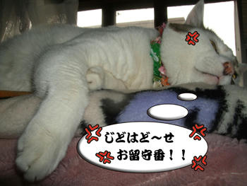 ゆっくりふて寝してなっ!