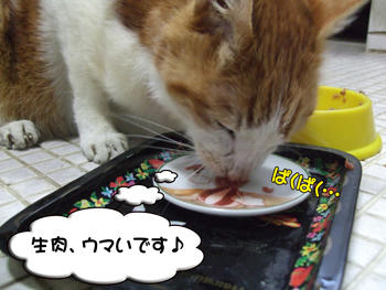 いっぱい食べたよね。。