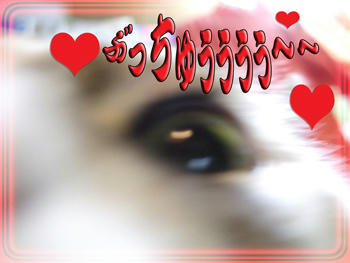 (￣ェ￣;) ｴｯ?