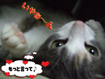 その甘えん坊ポーズは秋葉系かっ?