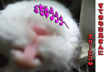 お姉さんにも(((( *≧〓)ノノブチューッ♪してねっ!