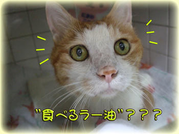 o(゚◇゚o)ホエ? なんじゃそりゃ?