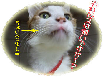 とっても遠いよ~ (((/T∇T)/