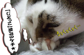 だって腑に落ちないぞ~ガオォーーッ!