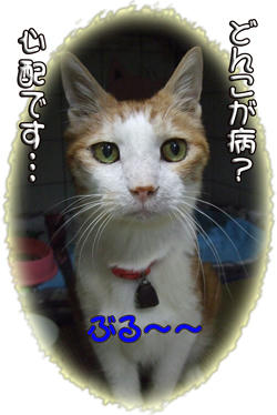 病いっつ～か～…