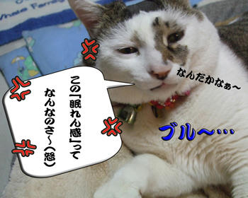 あぁ･･･超ブルーな顔ね…(￣ω￣;) ブヒ～