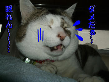 眠れんのって辛いよな～ε= (++ ) 