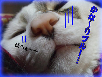 どうしたのさっ！