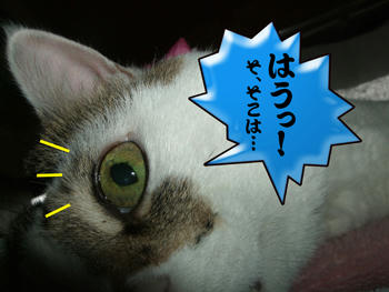 そこはヤバイッ！！