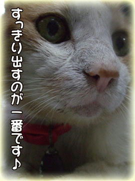 タンタンもいつもスッキリしてたもんね♪