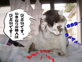 ヒリヒリしてるんだろうね～