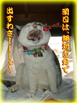 その踏ん張りを明日も！