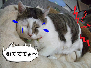 Mセンセに感謝しなさい。