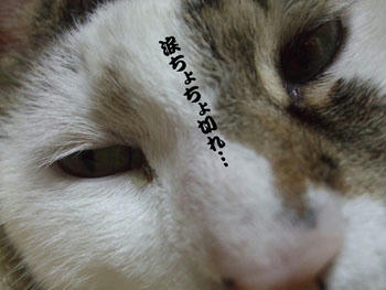 詰まったんだもん、仕方ないじゃん