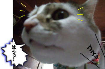 やっぱそうか…・( ;^ ^)