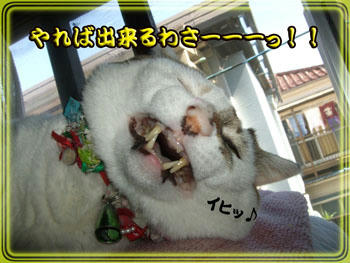 (=｀(∞)´=) ﾌﾞｰﾌﾞｰ!!Mセンセのお陰だよーーっ！