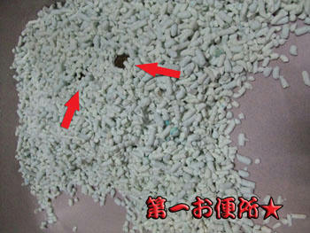 ワッシ ∩( ´∀` )∩ ョーイ ワッショーイ (∩´∀`)∩